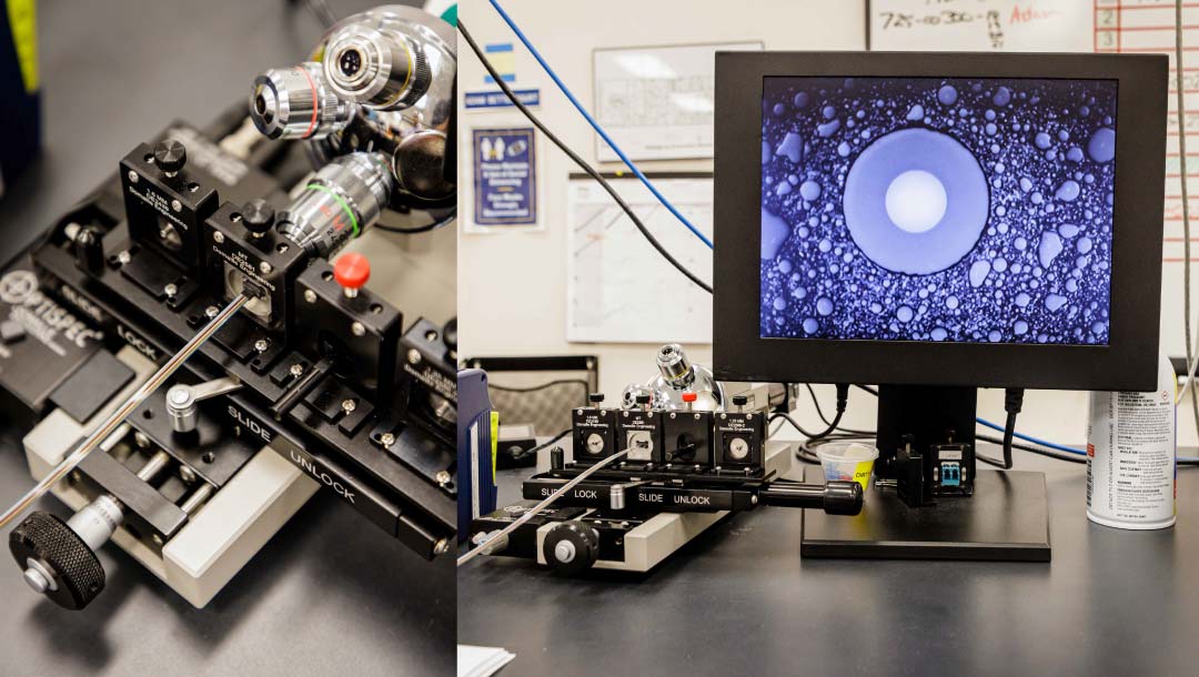 Fiber Optic Figure 7